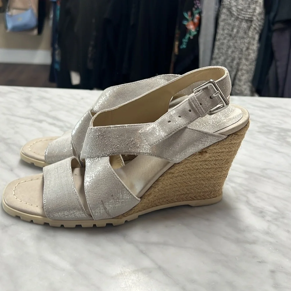 Donald J Pliner Brevos Silver Wedge Espadrilles Size 8